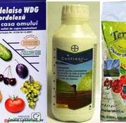 Pachet - stropirea pomilor in repaus vegetativ + fertilizare (20 l solutie, 100 l solutie)