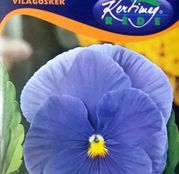 Seminte flori Panselute (Viola x witrockiana) albastre deschis 0,25g