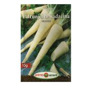 Seminte Patrunjel de radacina Berliner (10g, 50g)