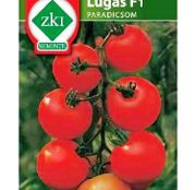 Seminte Tomate Lugas F1 35 seminte