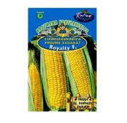 Seminte porumb zaharat Royalty F1 50 sem