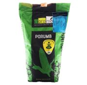 Seminte Porumb ZP 341, 25 MB