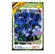 Bulbi de toamna Colectia Pure Nature Muscari, Chionodoxa 14buc.