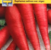 Seminte ridichi de vara rosii Ostergrus rosa 3g