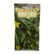 Seminte Rucola 20g