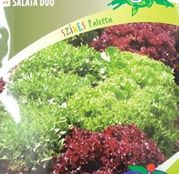 Seminte salata duo Lollo Bionda si Lollo Rosa 2x3g