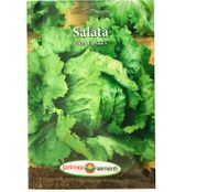 Seminte Salata Great Lakes 2g