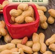 Seminte Alune de pamant With Shell- Arachis hypogaea-4sem.