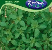 Seminte Busuioc cu aroma de lamaie 1g