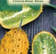 Seminte Castraveti Africani Kiwano 3sem.