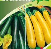 Seminte Dovlecel Zucchini Duo Black beauty & Goldena 2x3g