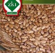 Seminte Fasole Uscata Inka 100g 