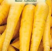 Seminte Morcov Lobbericher 4g