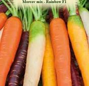 Seminte Morcov Rainbow mix F1 2g