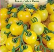 Seminte tomate (rosii) Yellow Cherry 0.3g