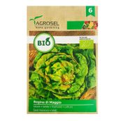 Seminte BIO Salata Regina di Maggio 2.5g