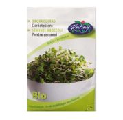 Seminte pentru germinat Broccoli BIO15g
