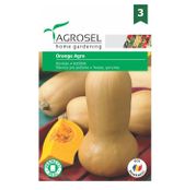 Seminte Dovleac Orange Agro (4g, 1000sem)