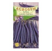 Seminte Fasole pitica mov Purple Queen 10g