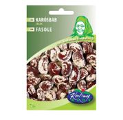 Seminte fasole Zalán 50g