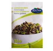 Seminte pentru germinat Floarea Soarelui BIO 30g