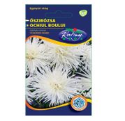 Seminte flori Ochiul boului (Callistephus chinensis) Unicum alb 1g