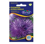 Seminte flori Ochiul boului (Callistephus chinensis) Unicum mov/albastru inchis 1g