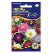 Seminte flori Ochiul boului (Callistephus chinensis) Princess - amestec de culori 1g