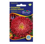 Seminte flori Ochiul boului (Callistephus chinensis) Princess - rosu 1g