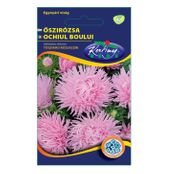 Seminte flori Ochiul boului (Callistephus chinensis) Strahlen roz 1g
