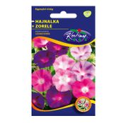 Seminte flori Zorele (Ipomea purpurea) amestec de culori 2g