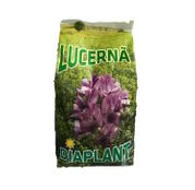Seminte Lucerna Roxana 1 kg 