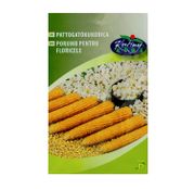 Seminte porumb popcorn Kremgolyo 50 seminte