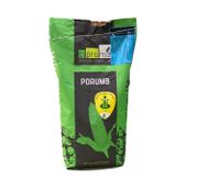 Seminte Porumb ZP 427, 25 MB