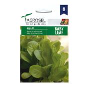 Seminte Spanac Baby Leaf Saga F1 3g