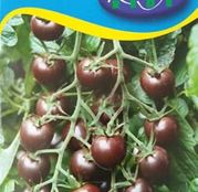Seminte tomate Black Cherry 1/2g