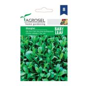 Seminte Varza chinezeasca Pak choi Baby Leaf Shanghai 2.5g