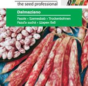 Seminte fasole Dalmaziano ( 45g, 250g )
