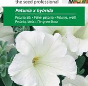 Seminte flori Petunia (Petunia x hybrida) alba (0.75 g)