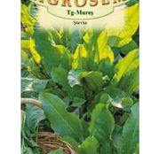 Seminte Stevia (Rumex patientia) 0.2g