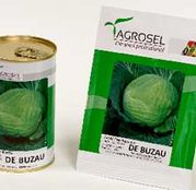 Seminte varza alba de Buzau 