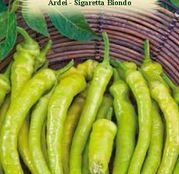 Seminte Ardei Bulgaresti Sigaretta Biondo 0.5g
