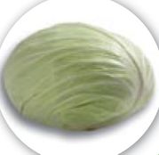 Seminte varza alba Septima F1