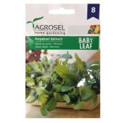 Seminte Sfecla de petiol Baby Leaf 4g