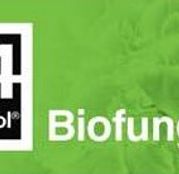 Biofungicid T34 Biocontrol (Xilon WP)