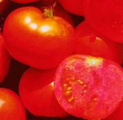 Seminte tomate (rosii) Townsville F1 5g