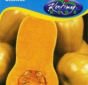Seminte dovleac pentru copt Orange 1g