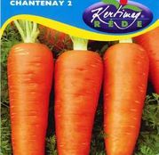 Seminte morcov Chantenay 2 4g