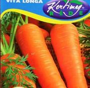 Seminte morcov Vita Longa 2g