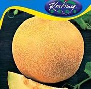 Seminte pepene galben Honey Dew 2g